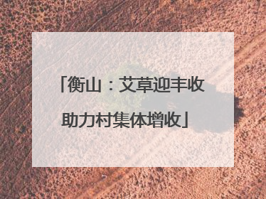 衡山：艾草迎丰收 助力村集体增收