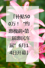 补贴500万！“约惠槐荫•第三届惠民车展”6月14日开幕