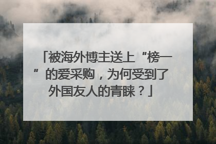 被海外博主送上“榜一”的爱采购，为何受到了外国友人的青睐？