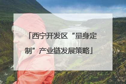 西宁开发区“量身定制”产业链发展策略