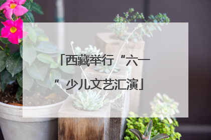 西藏举行“六一”少儿文艺汇演