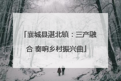 襄城县湛北镇：三产融合 奏响乡村振兴曲