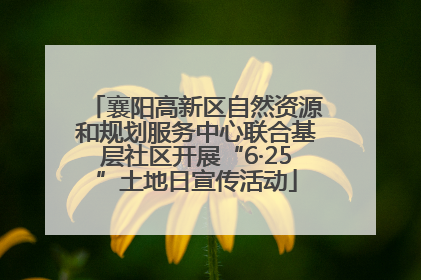 襄阳高新区自然资源和规划服务中心联合基层社区开展“6·25”土地日宣传活动