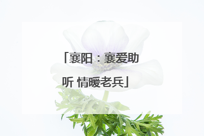 襄阳：襄爱助听 情暖老兵