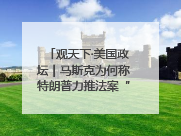 观天下·美国政坛｜马斯克为何称特朗普力推法案“令人作呕”