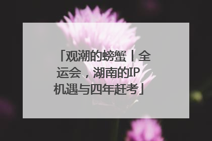 观潮的螃蟹丨全运会，湖南的IP机遇与四年赶考