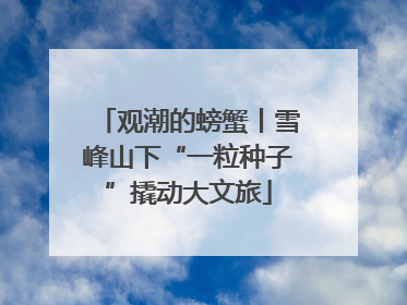 观潮的螃蟹丨雪峰山下“一粒种子”撬动大文旅