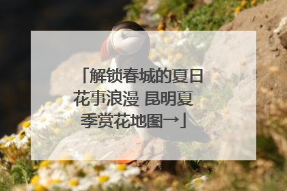 解锁春城的夏日花事浪漫 昆明夏季赏花地图→