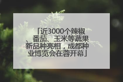 近3000个辣椒、番茄、玉米等蔬果新品种亮相，成都种业博览会在蓉开幕
