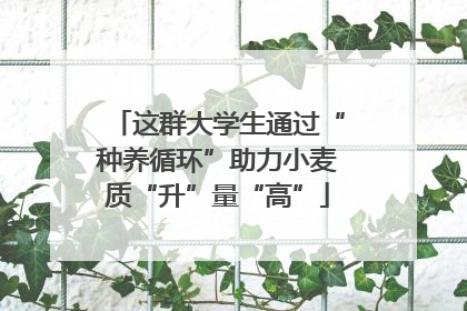 这群大学生通过“种养循环”助力小麦质“升”量“高”