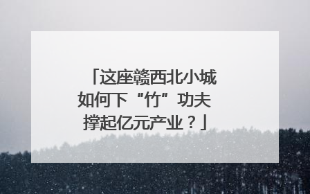 这座赣西北小城如何下“竹”功夫撑起亿元产业？