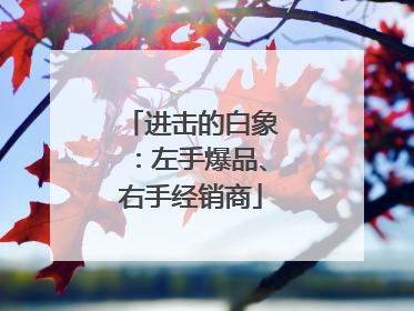进击的白象：左手爆品、右手经销商