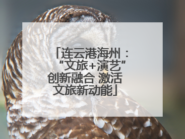 连云港海州：“文旅+演艺”创新融合 激活文旅新动能