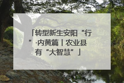 转型新生安阳“行”·内黄篇丨农业县有“大智慧”