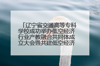 辽宁省交通高等专科学校成功举办低空经济行业产教融合共同体成立大会暨共建低空经济产教融合新生态论坛
