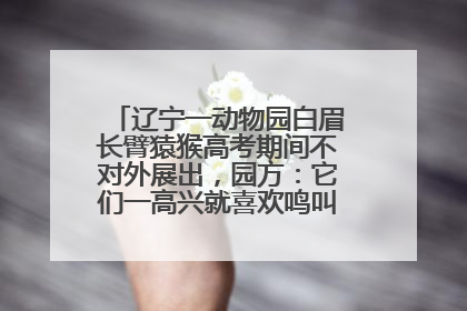 辽宁一动物园白眉长臂猿猴高考期间不对外展出，园方：它们一高兴就喜欢鸣叫，怕影响考试