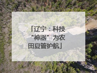 辽宁：科技“神器”为农田夏管护航