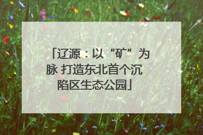 辽源：以“矿”为脉 打造东北首个沉陷区生态公园