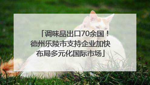 调味品出口70余国！德州乐陵市支持企业加快布局多元化国际市场