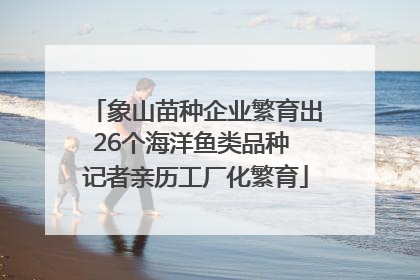 象山苗种企业繁育出26个海洋鱼类品种 记者亲历工厂化繁育