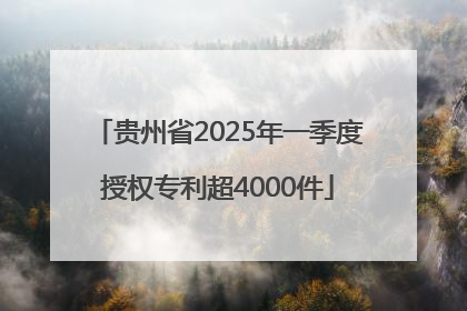 贵州省2025年一季度授权专利超4000件