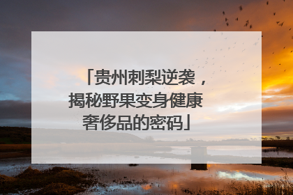 贵州刺梨逆袭，揭秘野果变身健康奢侈品的密码