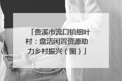 贵溪市流口镇细叶村：盘活闲置资源助力乡村振兴（图）
