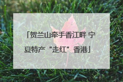 贺兰山牵手香江畔 宁夏特产“走红”香港