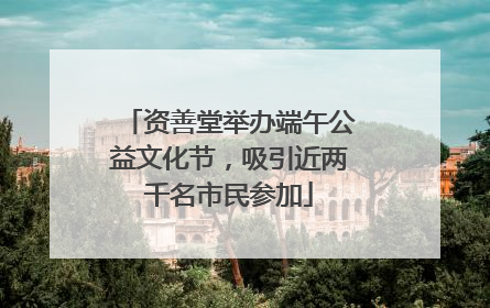 资善堂举办端午公益文化节，吸引近两千名市民参加