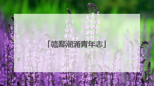 赣鄱潮涌青年志