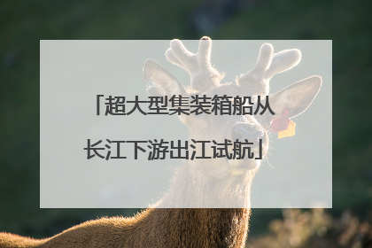 超大型集装箱船从长江下游出江试航