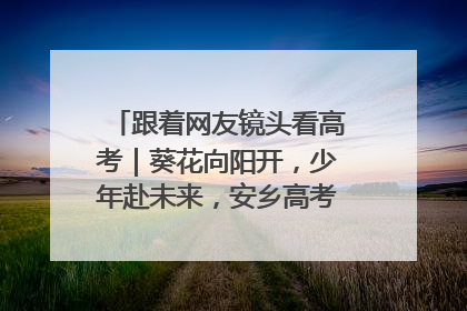 跟着网友镜头看高考｜葵花向阳开，少年赴未来，安乡高考首日的希望图景