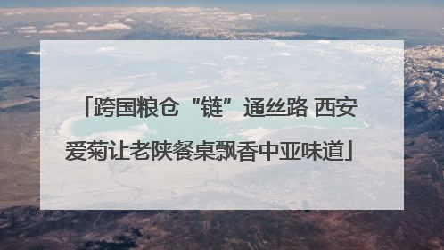 跨国粮仓“链”通丝路 西安爱菊让老陕餐桌飘香中亚味道
