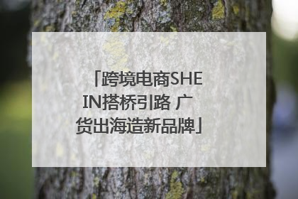 跨境电商SHEIN搭桥引路 广货出海造新品牌