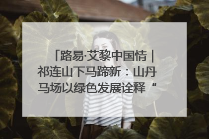 路易·艾黎中国情｜祁连山下马蹄新：山丹马场以绿色发展诠释“两山”理论实践