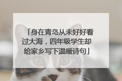 身在青岛从未好好看过大海，四年级学生却给家乡写下温暖诗句