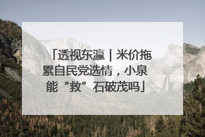 透视东瀛｜米价拖累自民党选情，小泉能“救”石破茂吗