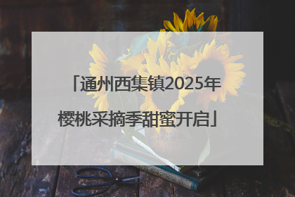 通州西集镇2025年樱桃采摘季甜蜜开启