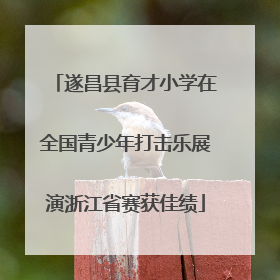遂昌县育才小学在全国青少年打击乐展演浙江省赛获佳绩