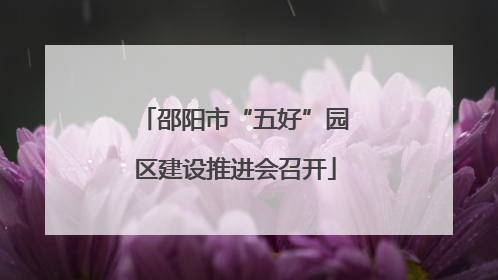 邵阳市“五好”园区建设推进会召开