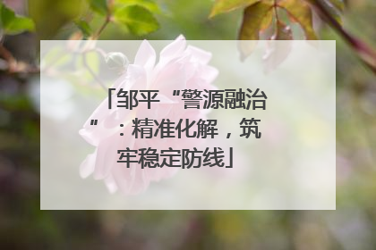 邹平“警源融治”：精准化解，筑牢稳定防线