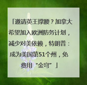邀请英王撑腰？加拿大希望加入欧洲防务计划，减少对美依赖，特朗普：成为美国第51个州，免费用“金穹”