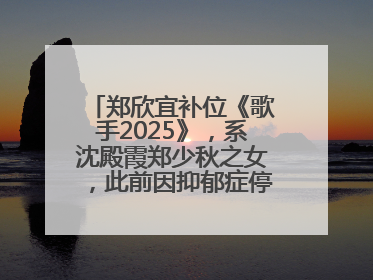 郑欣宜补位《歌手2025》，系沈殿霞郑少秋之女，此前因抑郁症停工两年