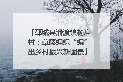 郓城县潘渡镇杨庙村：草藤编织“编”出乡村振兴新图景