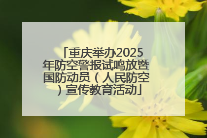 重庆举办2025年防空警报试鸣放暨国防动员（人民防空）宣传教育活动
