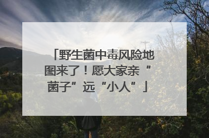 野生菌中毒风险地图来了！愿大家亲“菌子”远“小人”