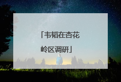 韦韬在杏花岭区调研