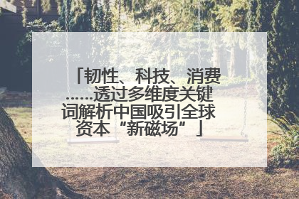 韧性、科技、消费……透过多维度关键词解析中国吸引全球资本“新磁场”