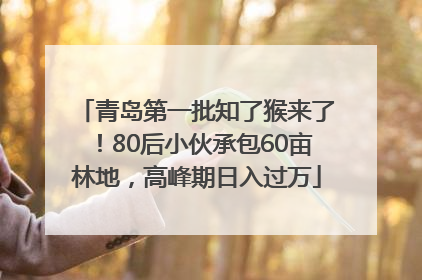 青岛第一批知了猴来了！80后小伙承包60亩林地，高峰期日入过万