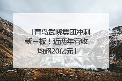 青岛武晓集团冲刺新三板！近两年营收均超20亿元